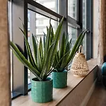 Metalex Garden 2bdrm Luxury ヴァルナ